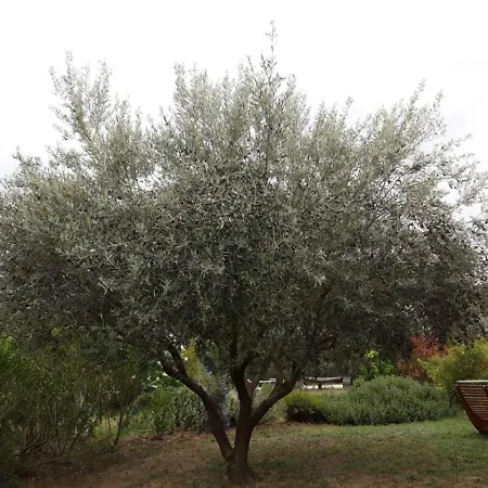 Holiday home Parfums De Provence 